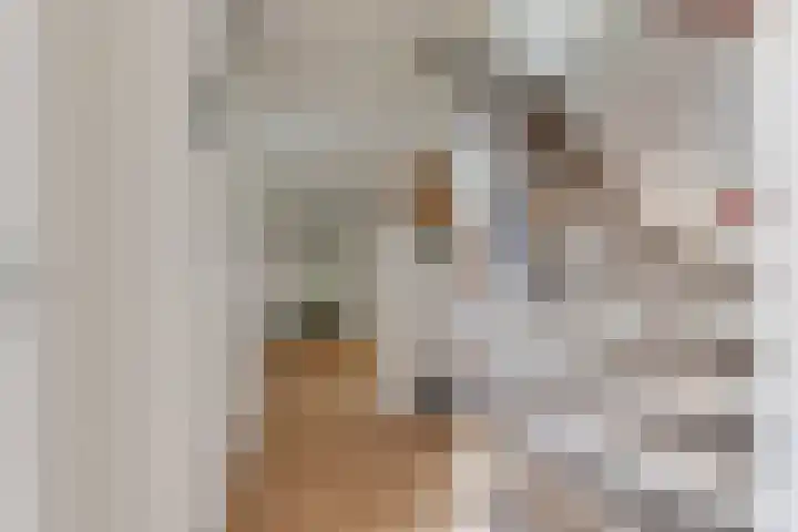 Dorsvlegel 21 Warmenhuizen thumbnail 6
