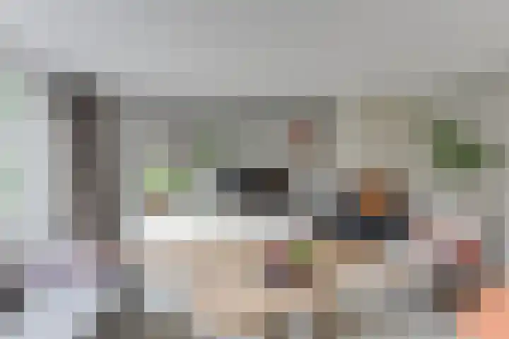 Dorsvlegel 21 Warmenhuizen thumbnail 8