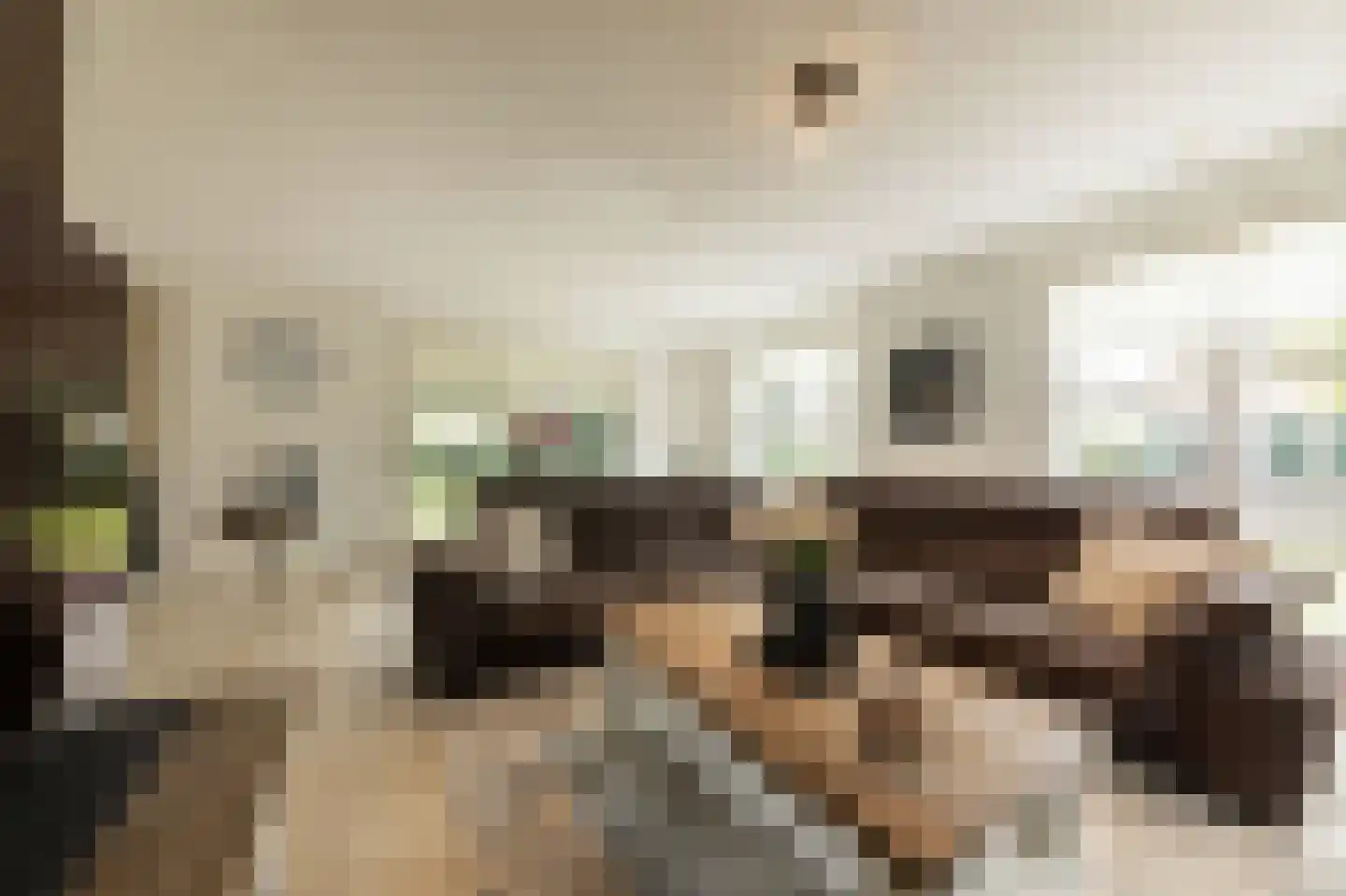 Dorsvlegel 22 Bergharen thumbnail 10