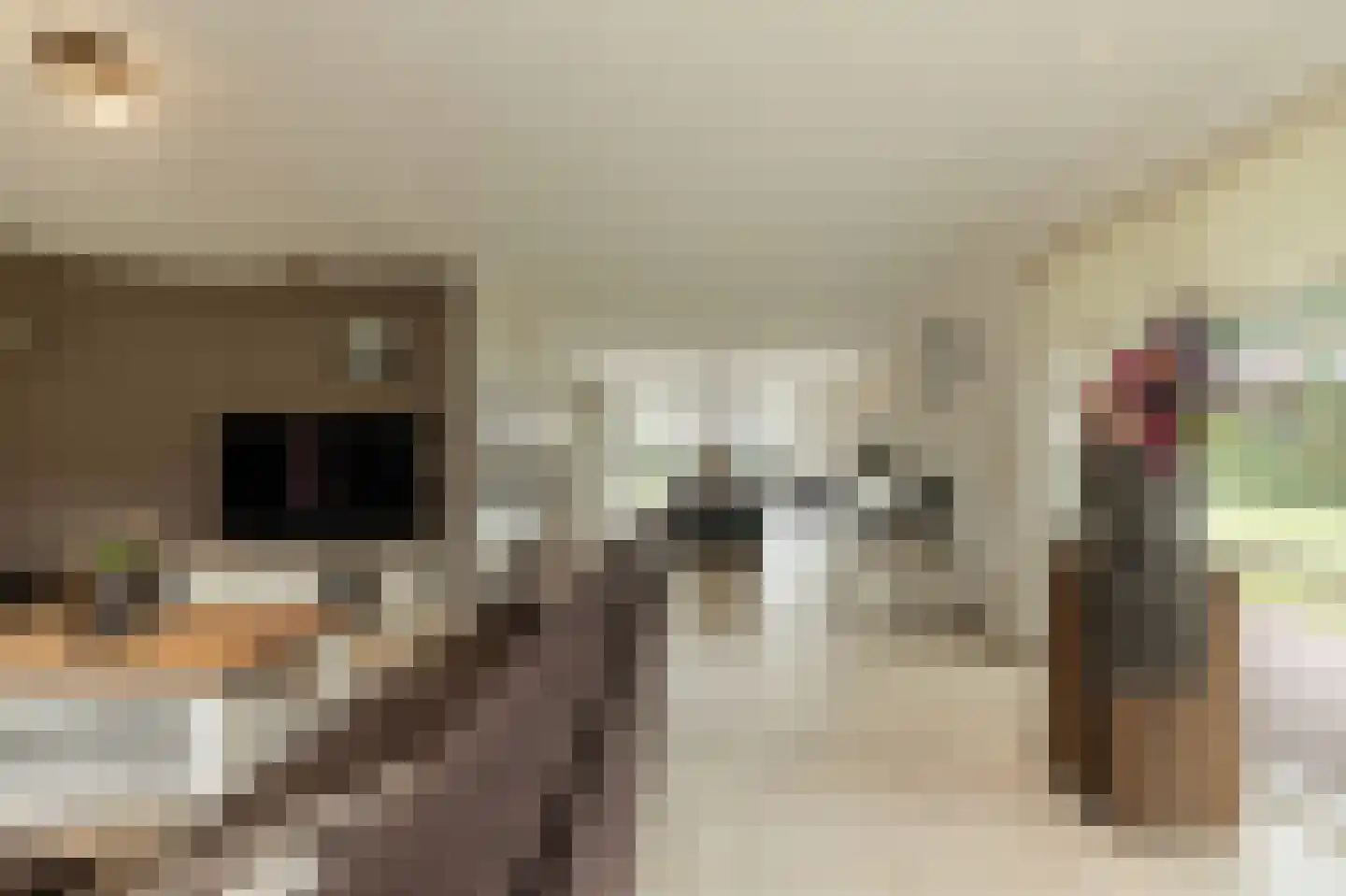 Dorsvlegel 22 Bergharen thumbnail 11