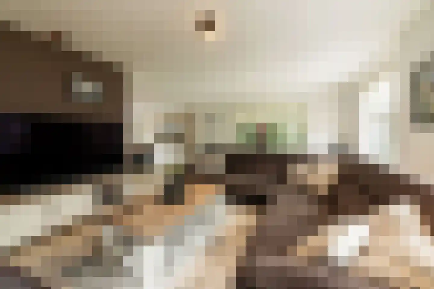 Dorsvlegel 22 Bergharen thumbnail 12