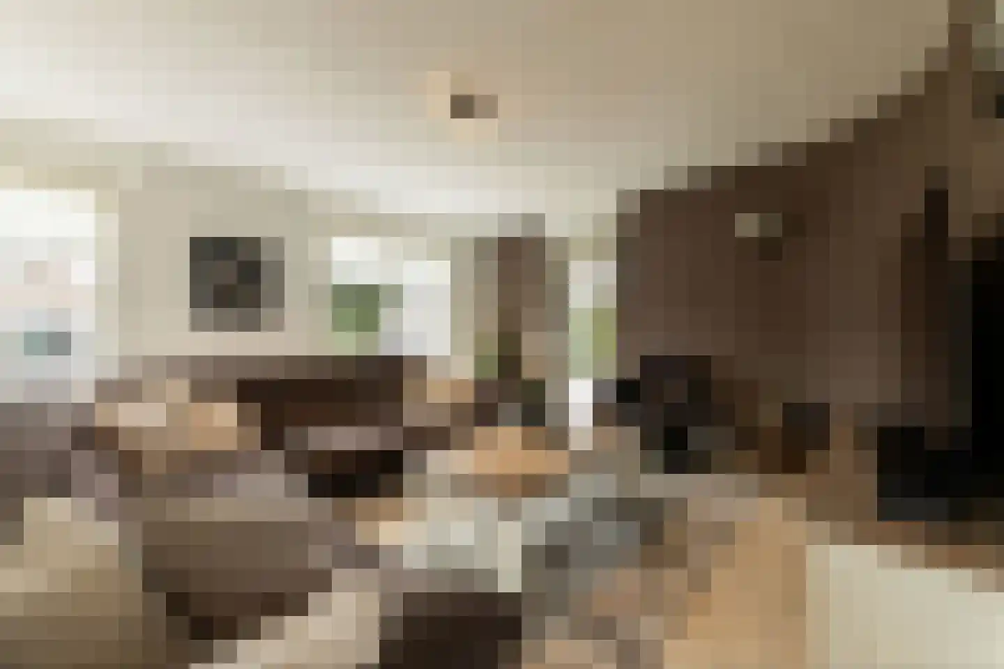 Dorsvlegel 22 Bergharen thumbnail 15