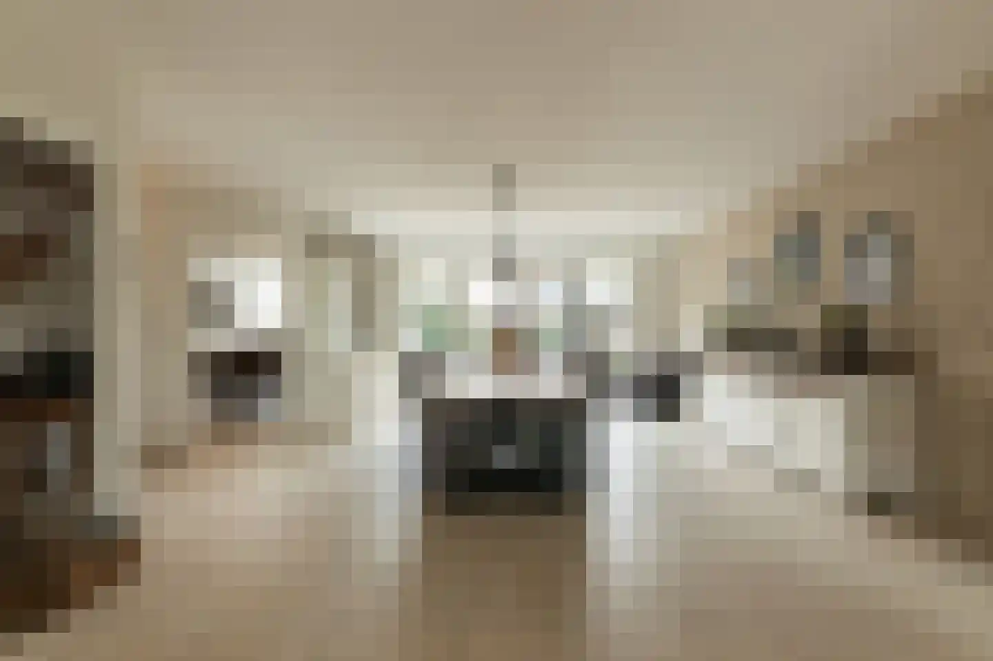 Dorsvlegel 22 Bergharen thumbnail 16
