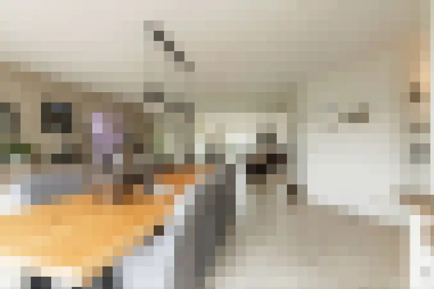 Dorsvlegel 22 Bergharen thumbnail 17
