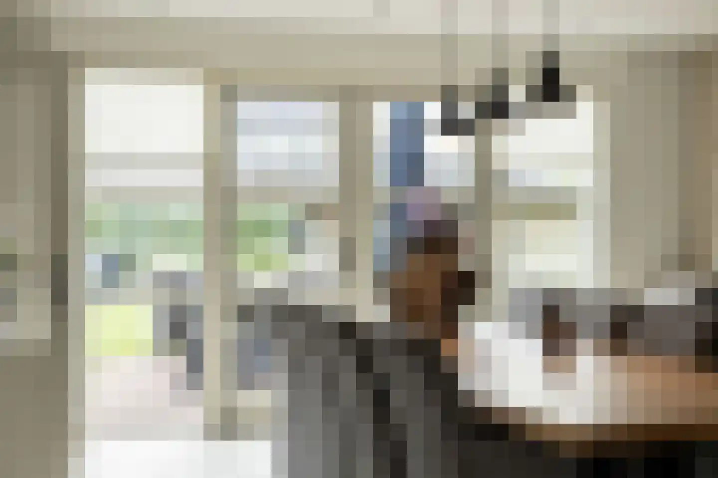 Dorsvlegel 22 Bergharen thumbnail 18