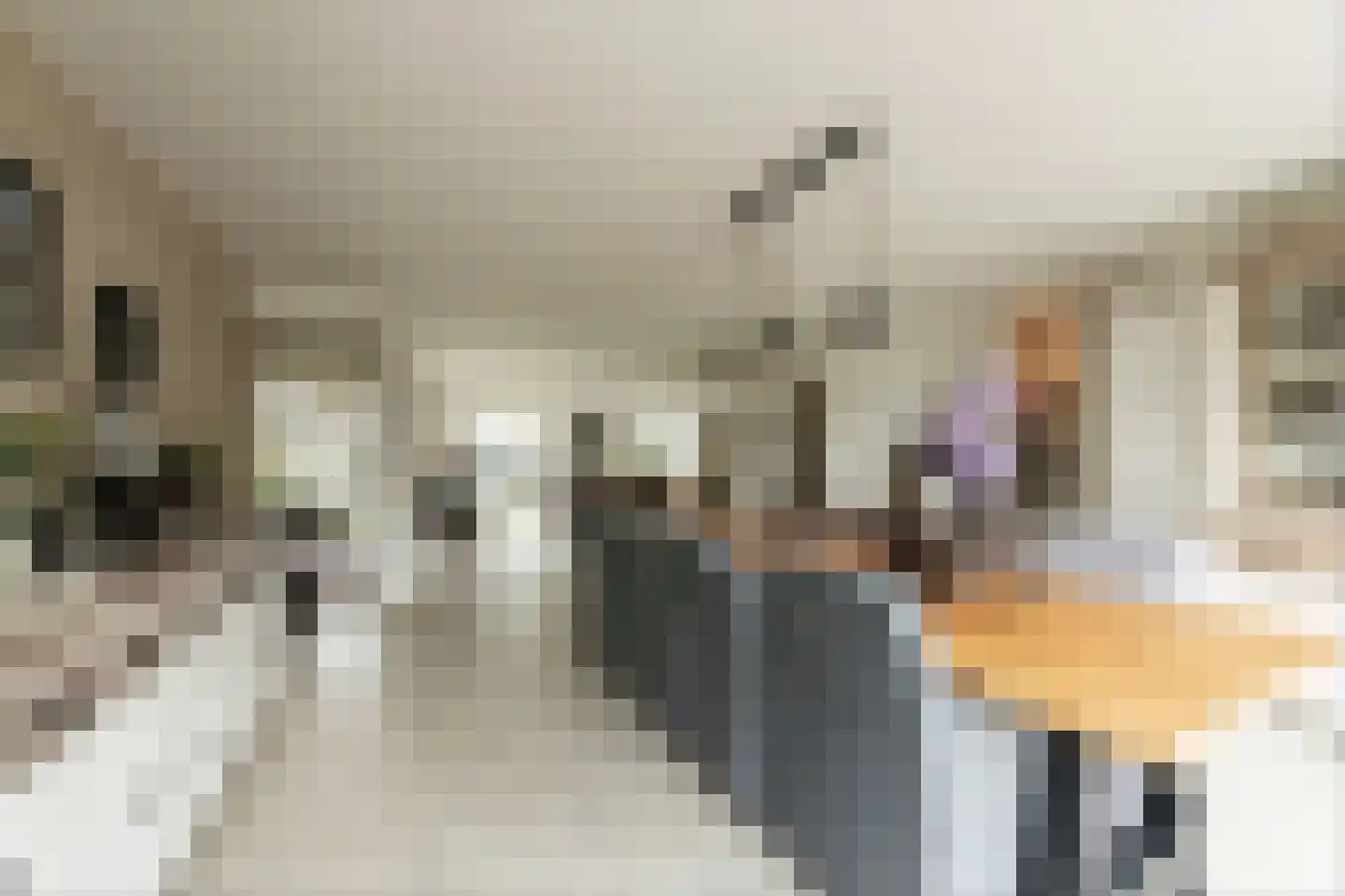 Dorsvlegel 22 Bergharen thumbnail 19