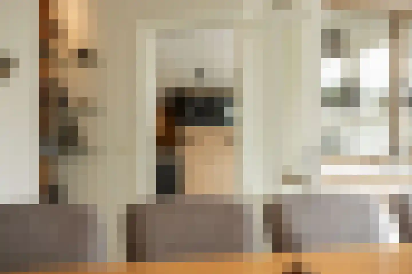 Dorsvlegel 22 Bergharen thumbnail 20