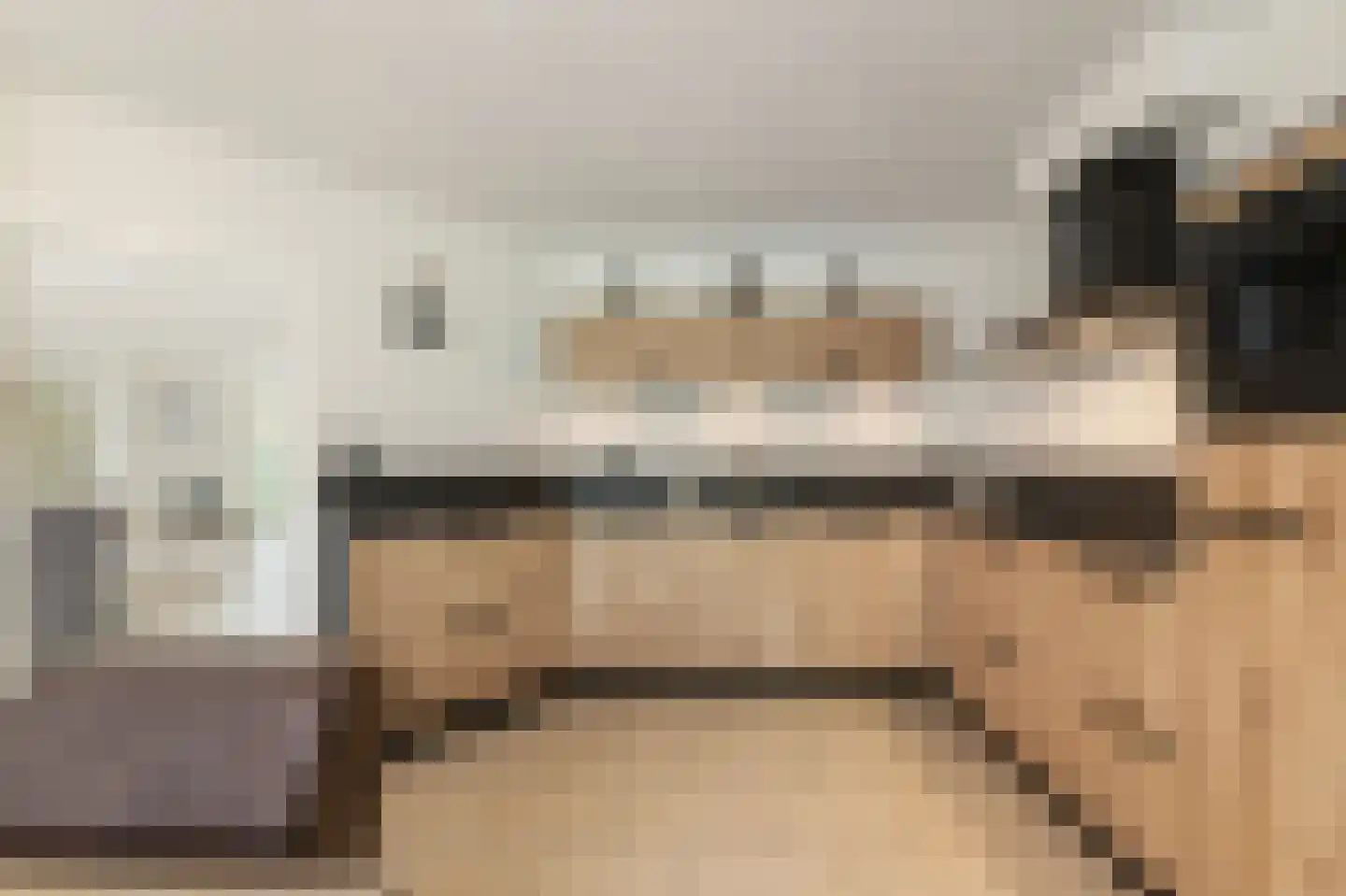 Dorsvlegel 22 Bergharen thumbnail 22
