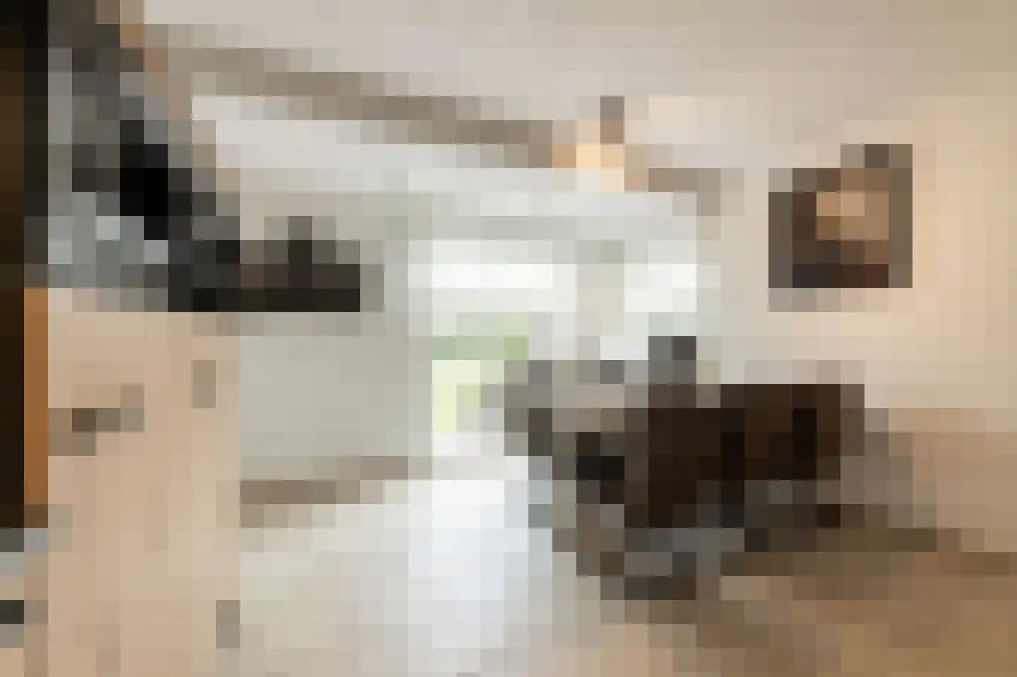 Dorsvlegel 22 Bergharen thumbnail 23