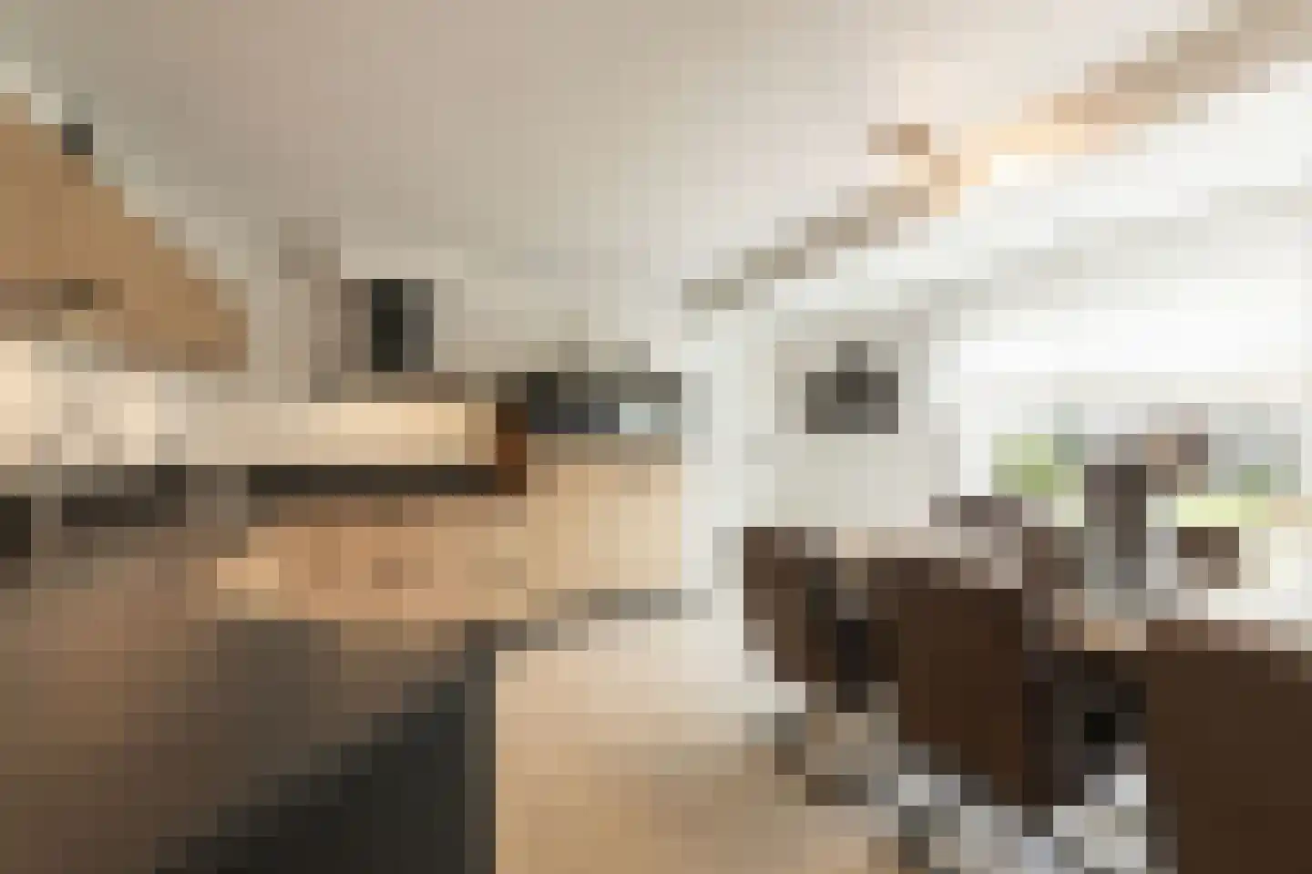 Dorsvlegel 22 Bergharen thumbnail 24