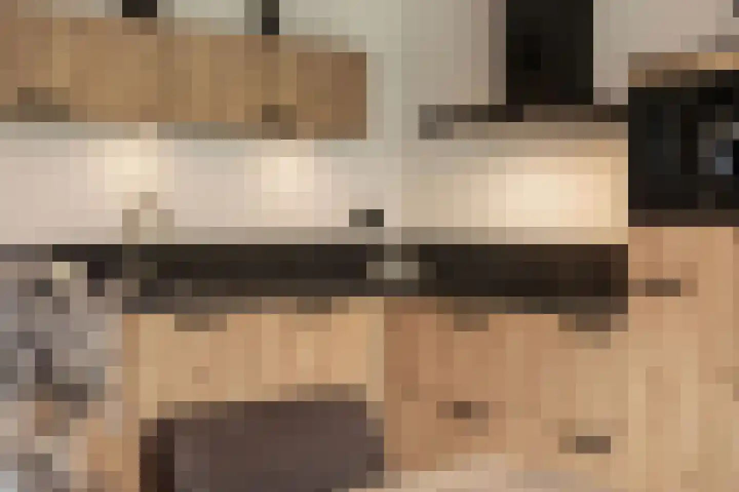 Dorsvlegel 22 Bergharen thumbnail 25