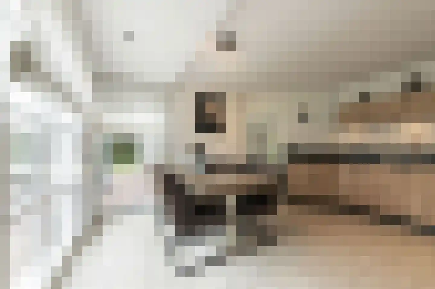 Dorsvlegel 22 Bergharen thumbnail 27