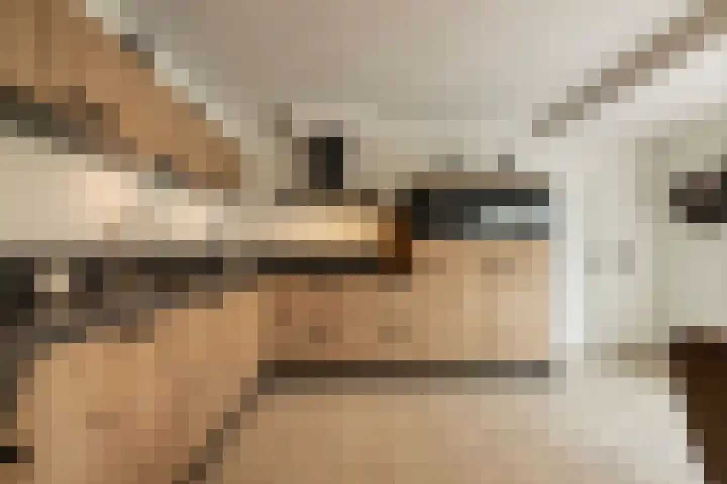 Dorsvlegel 22 Bergharen thumbnail 28