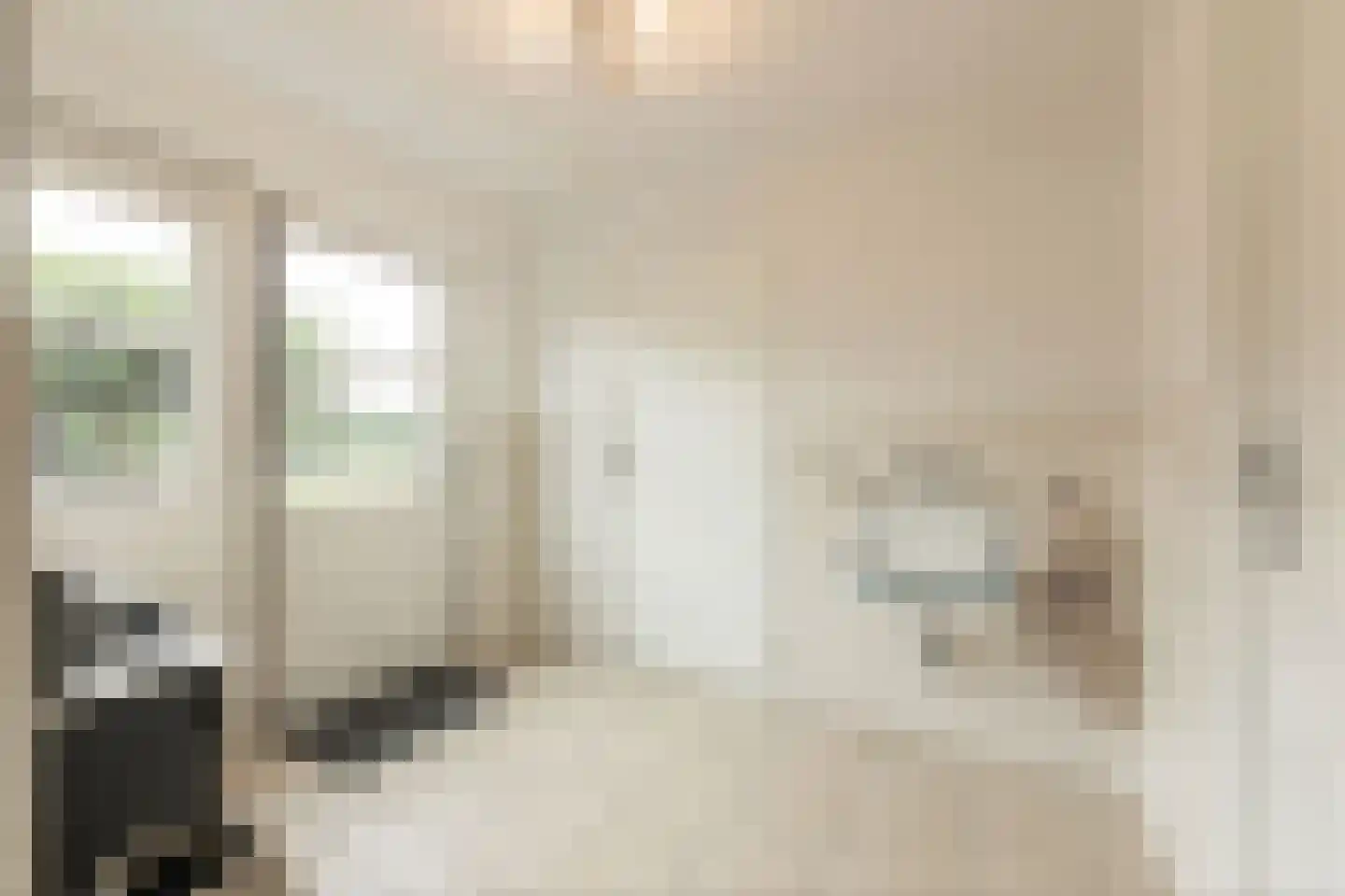 Dorsvlegel 22 Bergharen thumbnail 30