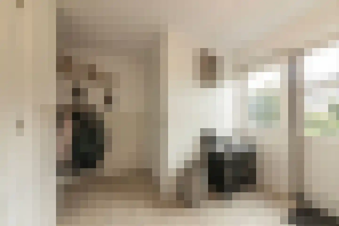 Dorsvlegel 22 Bergharen thumbnail 31