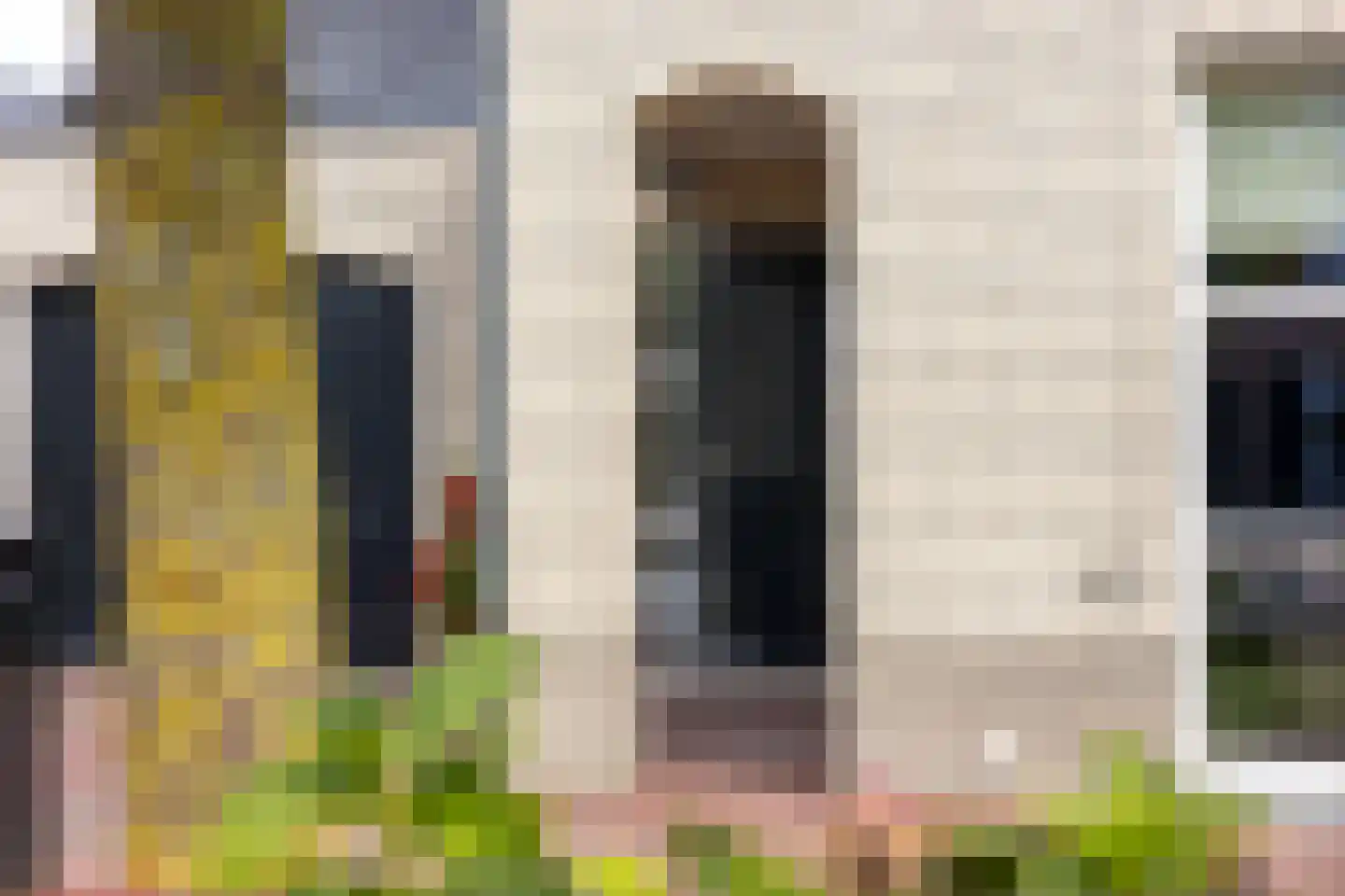 Dorsvlegel 22 Bergharen thumbnail 34