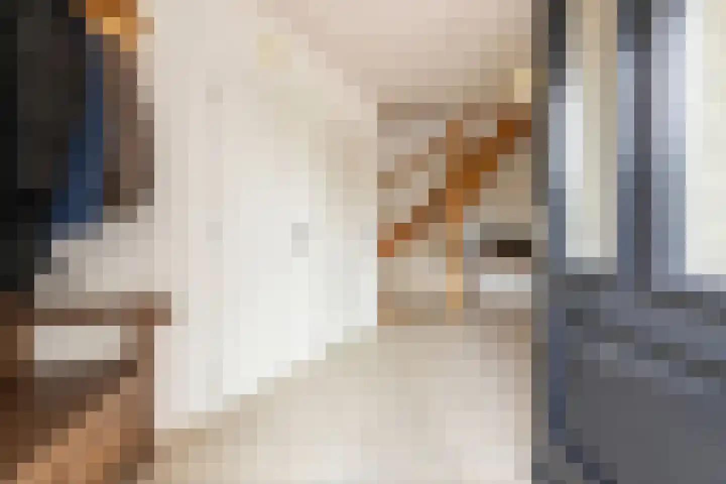 Dorsvlegel 22 Bergharen thumbnail 35