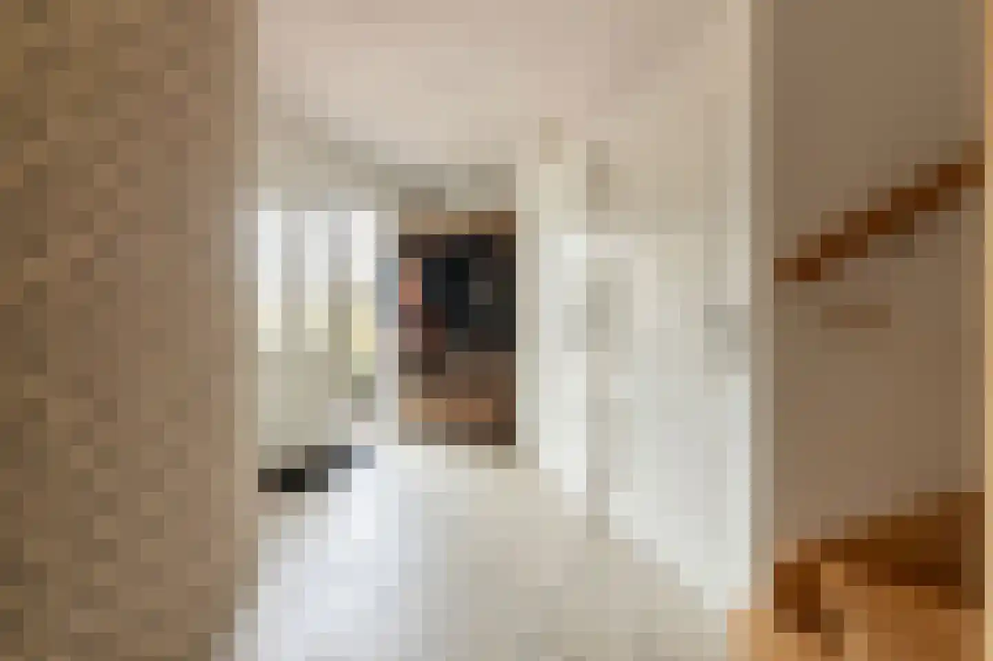 Dorsvlegel 22 Bergharen thumbnail 36