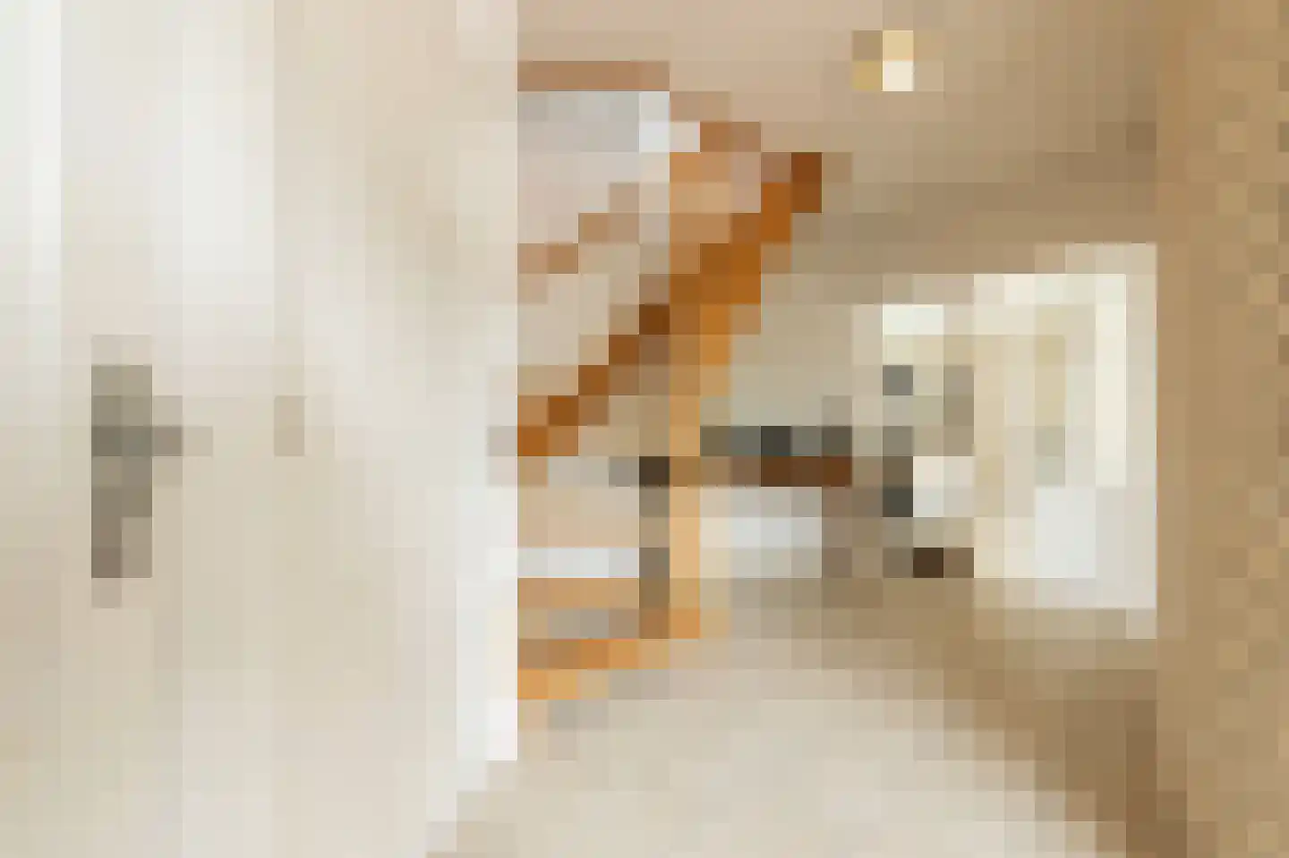 Dorsvlegel 22 Bergharen thumbnail 38