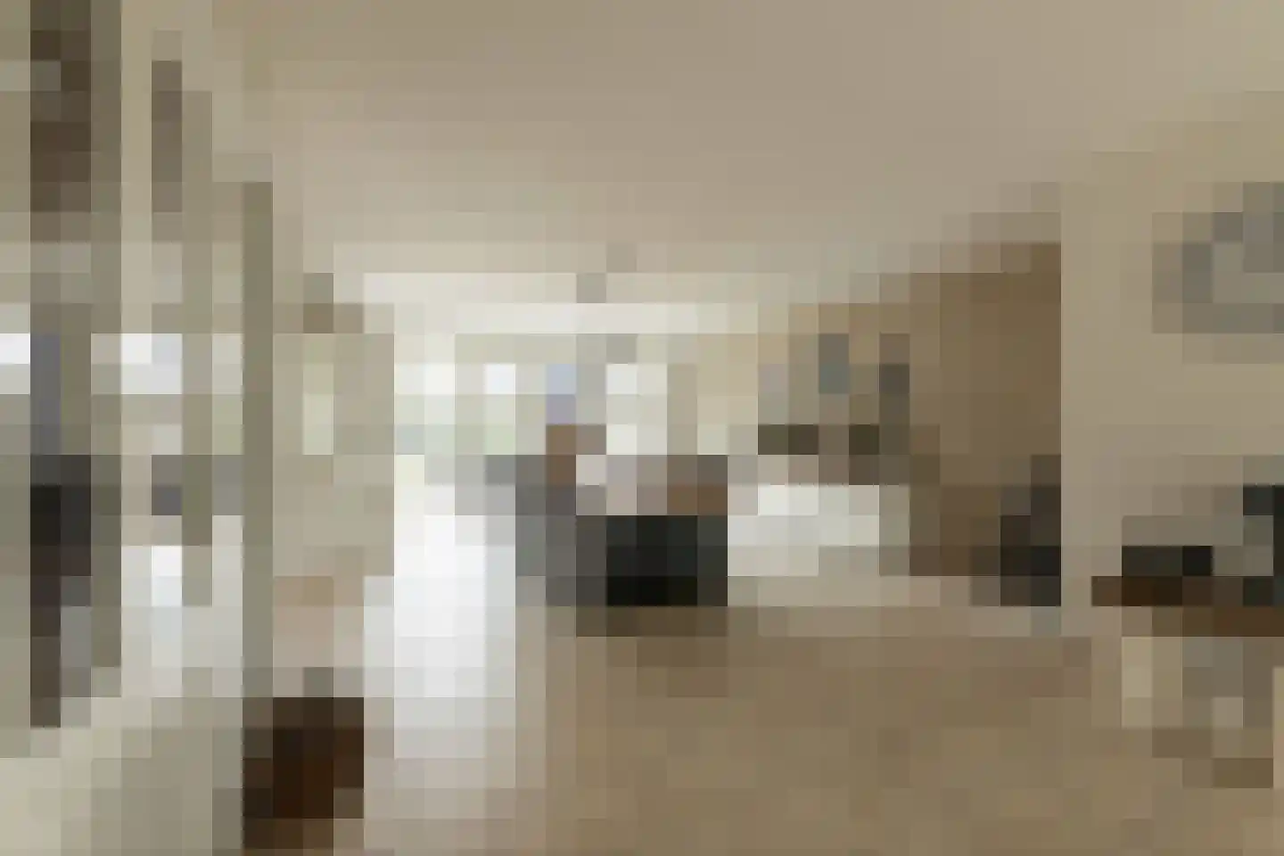 Dorsvlegel 22 Bergharen thumbnail 4