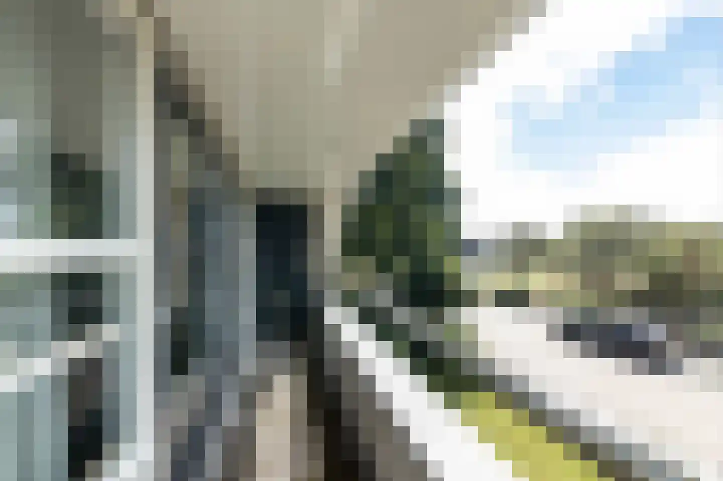 Dorsvlegel 22 Bergharen thumbnail 43