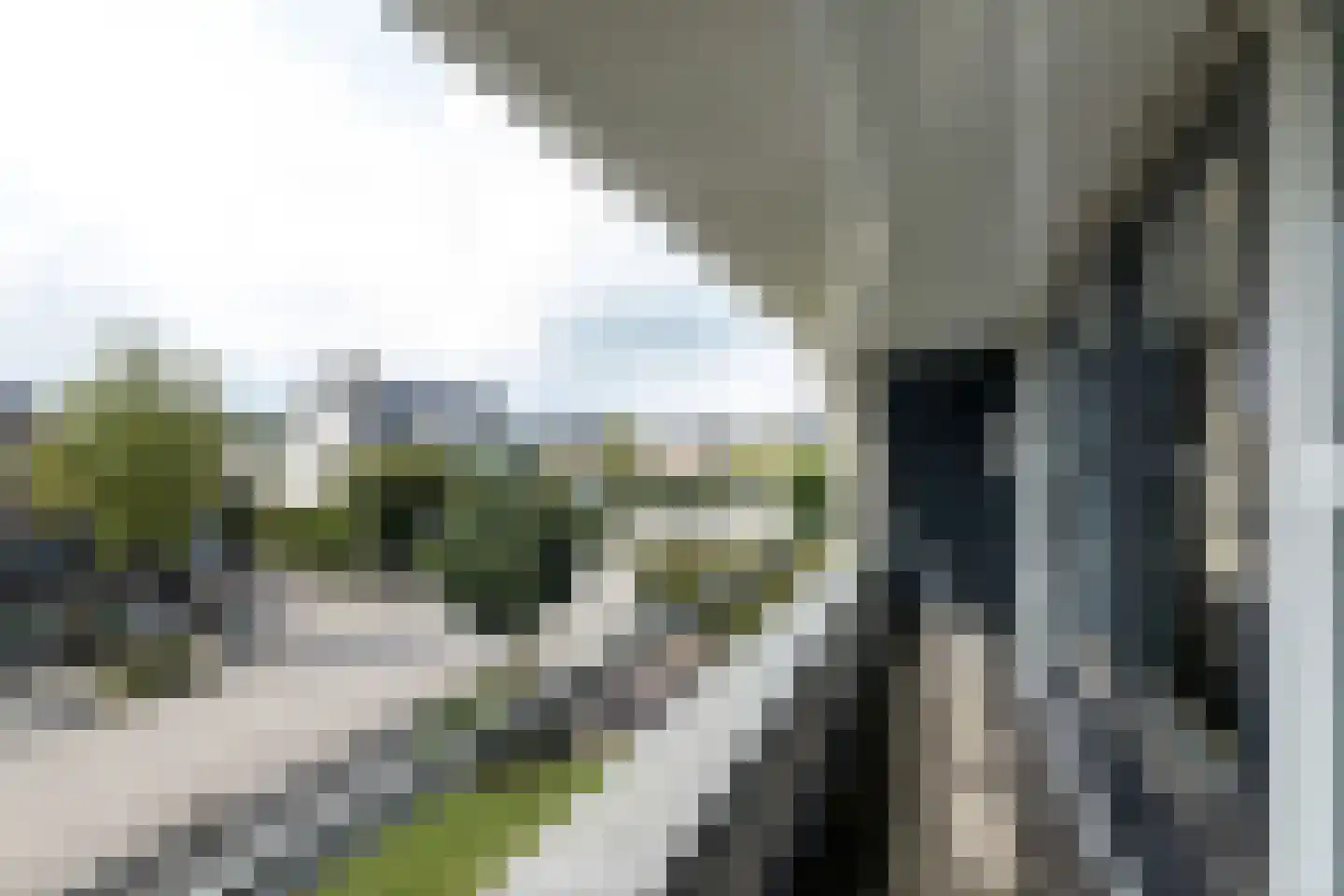 Dorsvlegel 22 Bergharen thumbnail 44