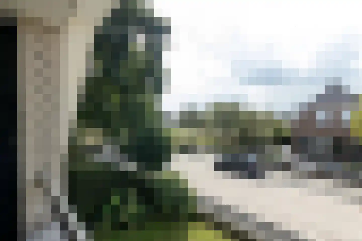 Dorsvlegel 22 Bergharen thumbnail 45