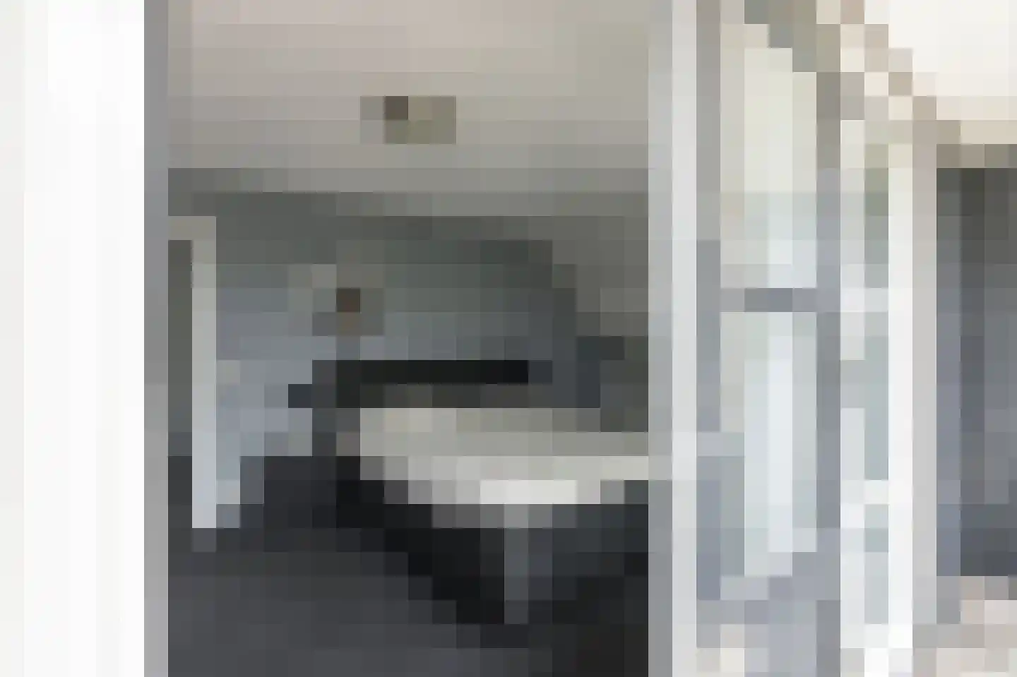 Dorsvlegel 22 Bergharen thumbnail 46
