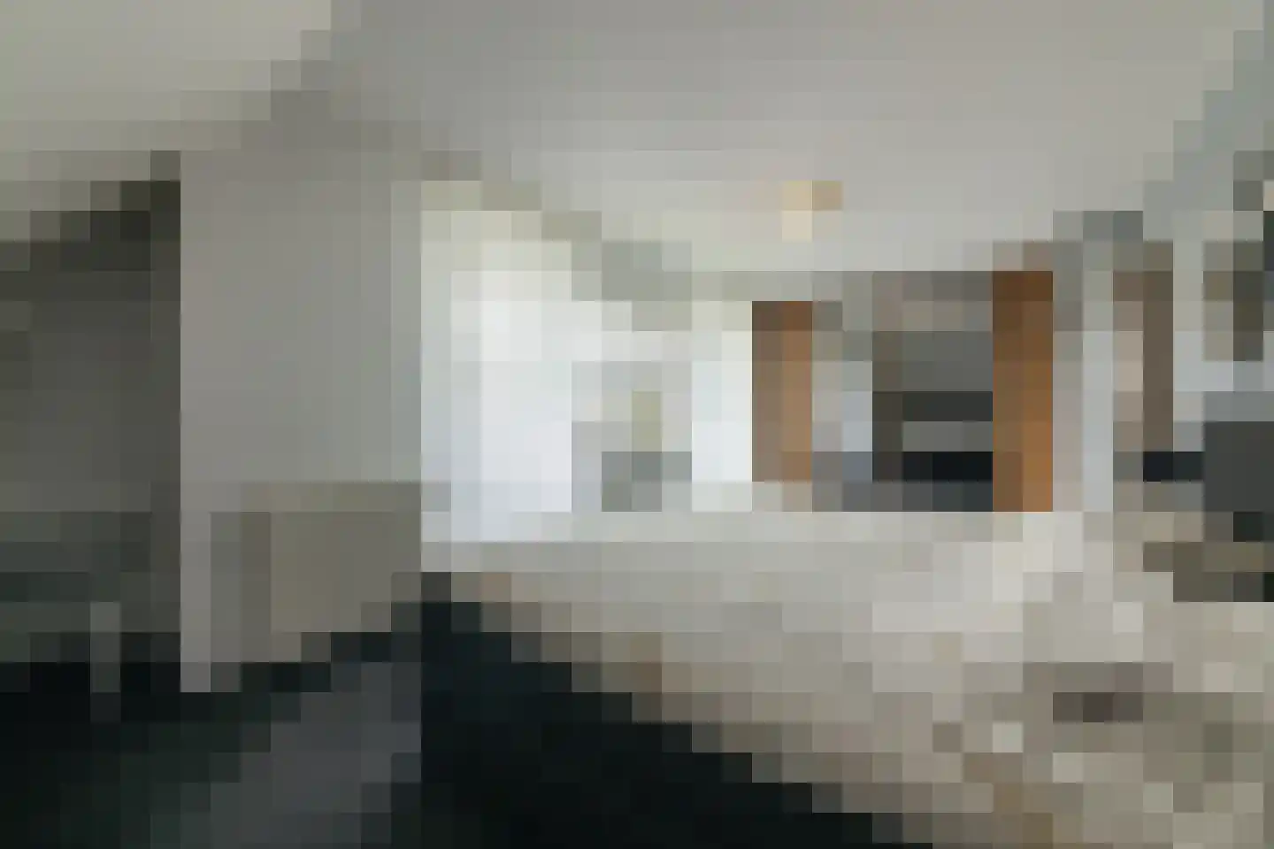Dorsvlegel 22 Bergharen thumbnail 47
