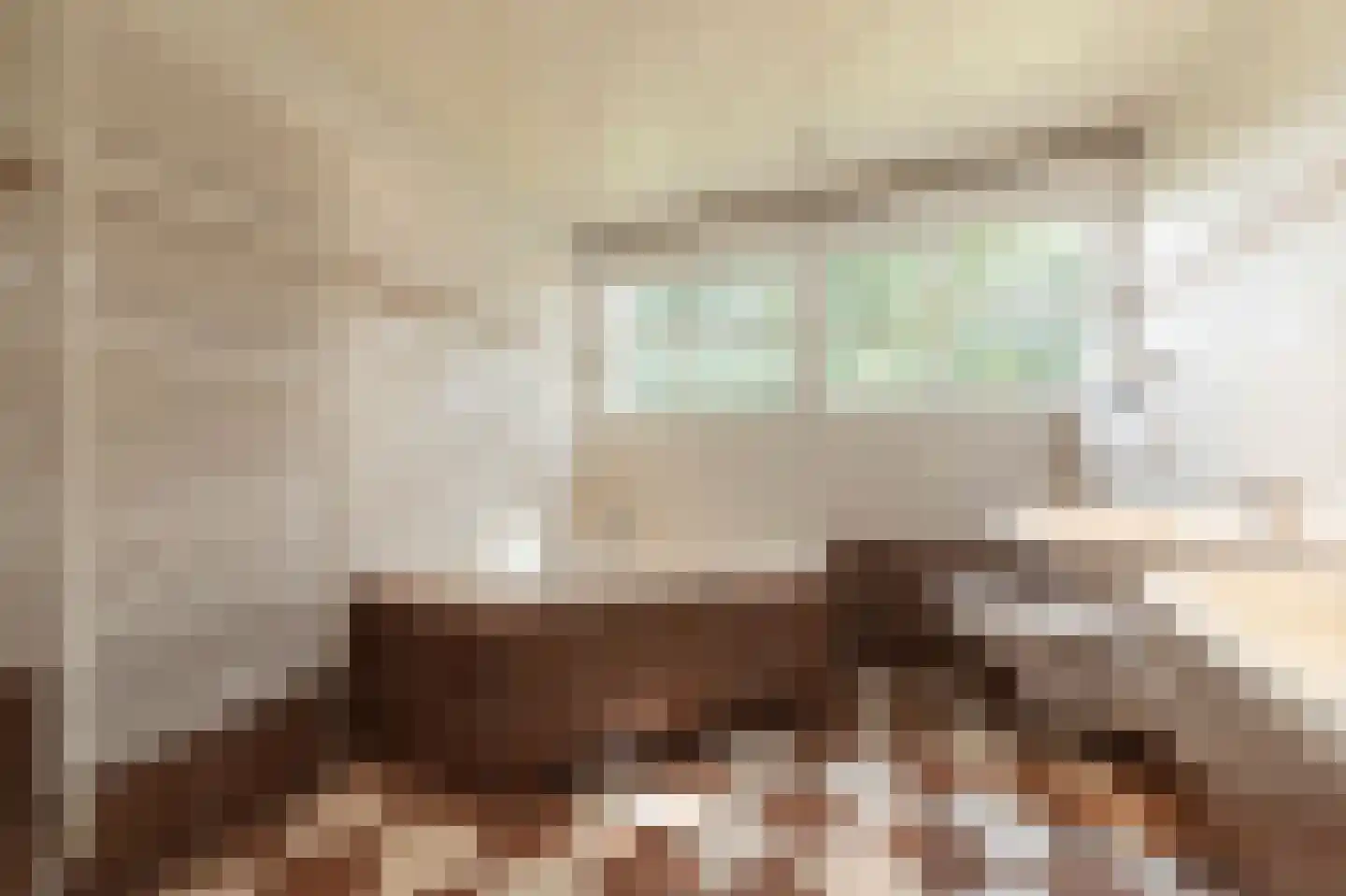 Dorsvlegel 22 Bergharen thumbnail 50