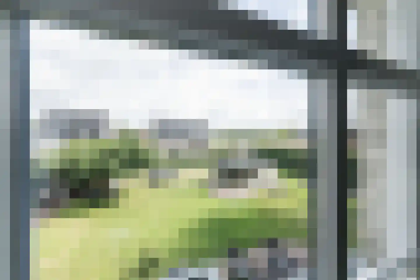 Dorsvlegel 22 Bergharen thumbnail 55