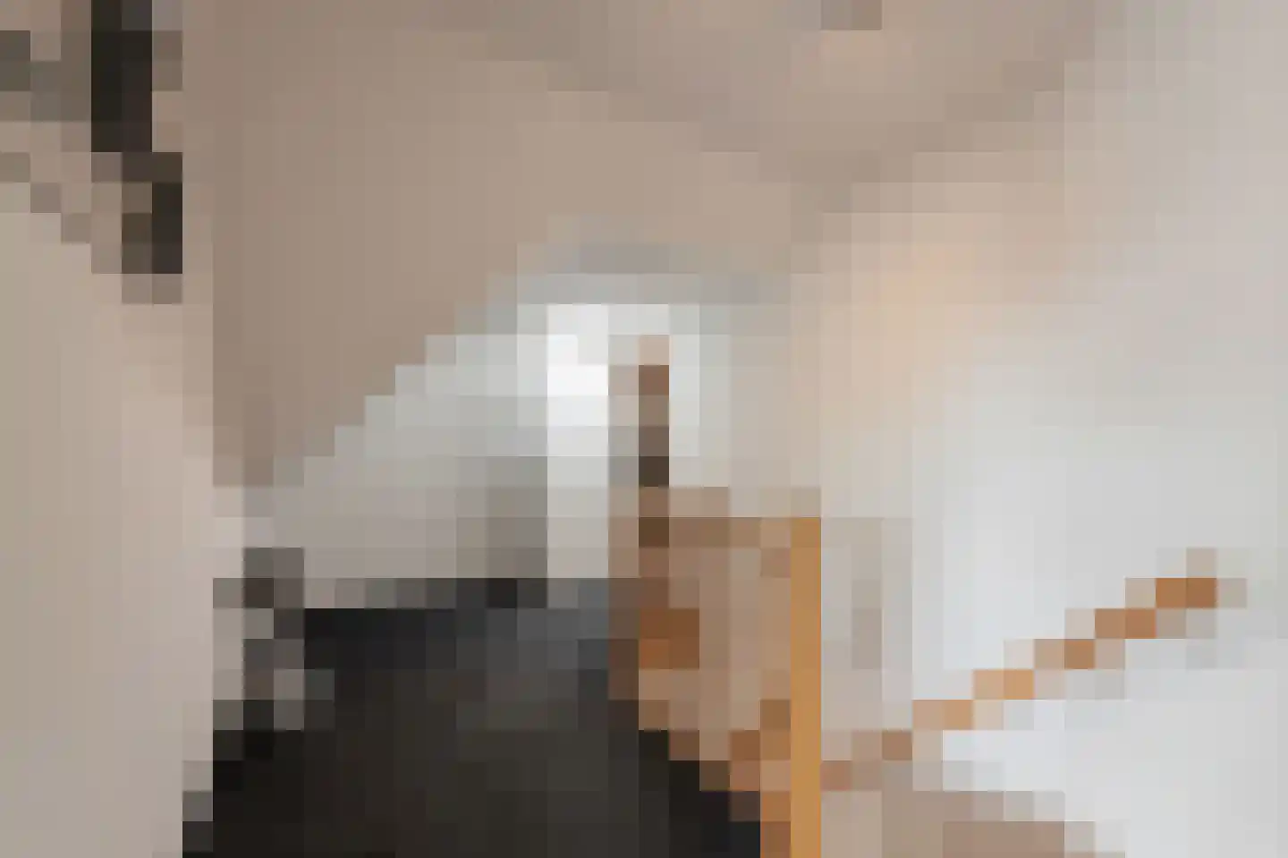Dorsvlegel 22 Bergharen thumbnail 57