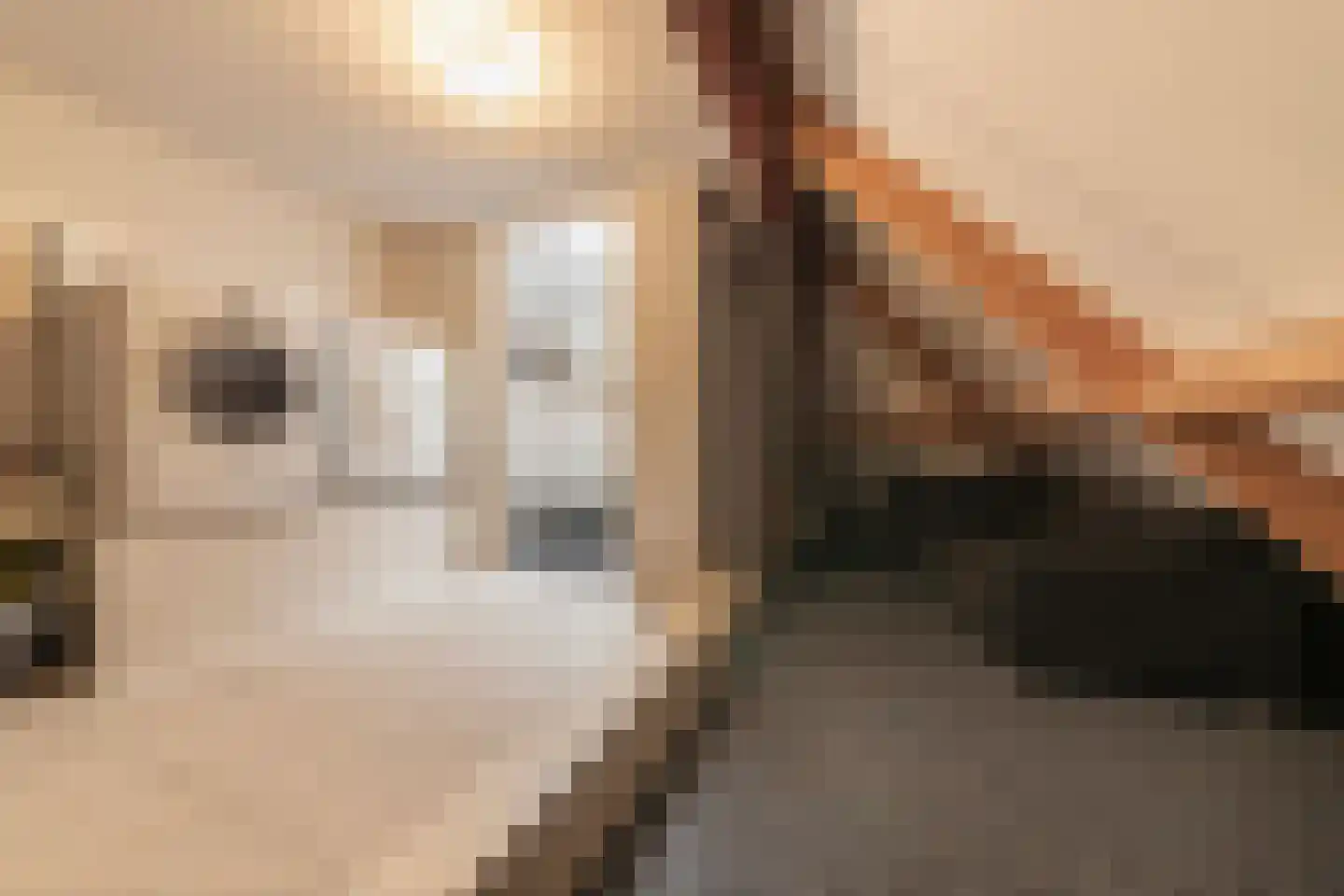Dorsvlegel 22 Bergharen thumbnail 58