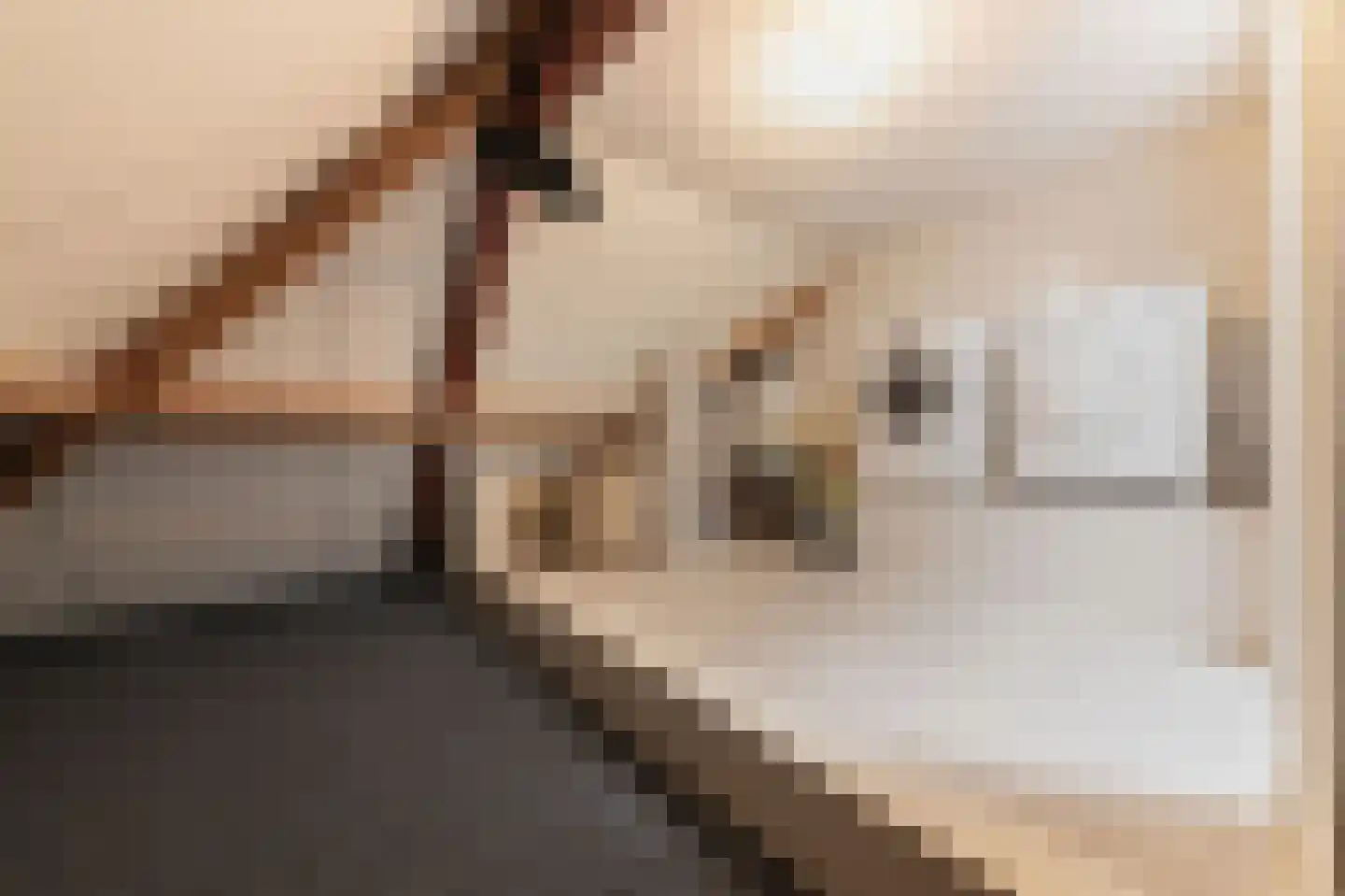 Dorsvlegel 22 Bergharen thumbnail 60