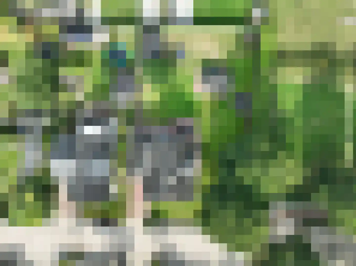 Dorsvlegel 22 Bergharen thumbnail 61
