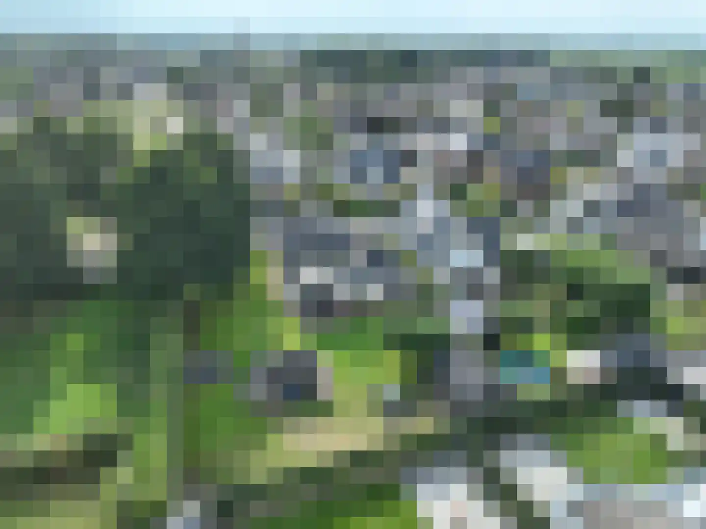 Dorsvlegel 22 Bergharen thumbnail 63