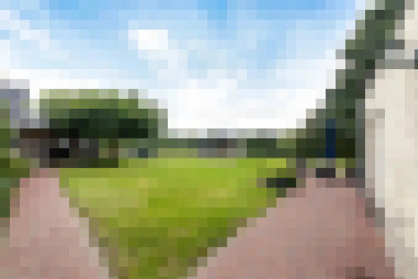 Dorsvlegel 22 Bergharen thumbnail 65