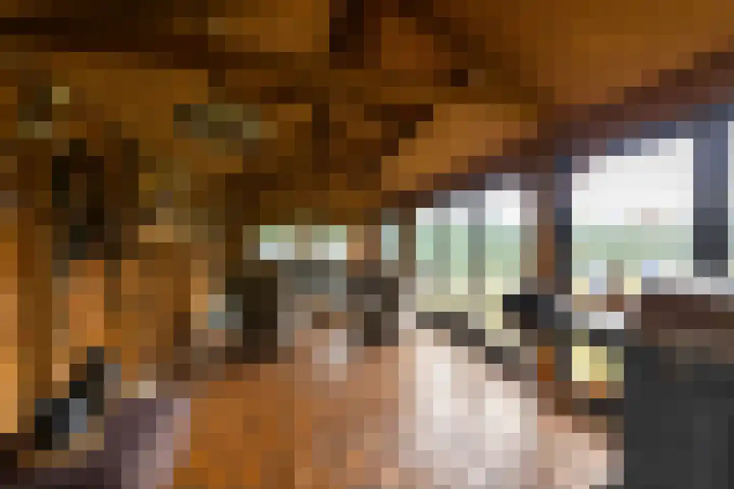 Dorsvlegel 22 Bergharen thumbnail 67