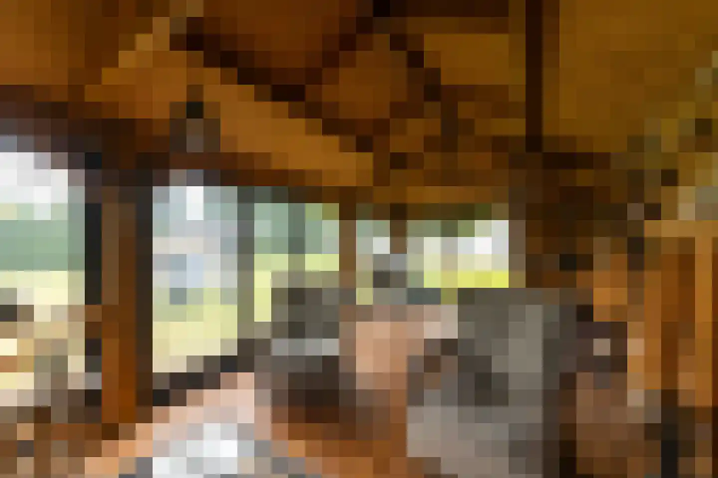 Dorsvlegel 22 Bergharen thumbnail 68
