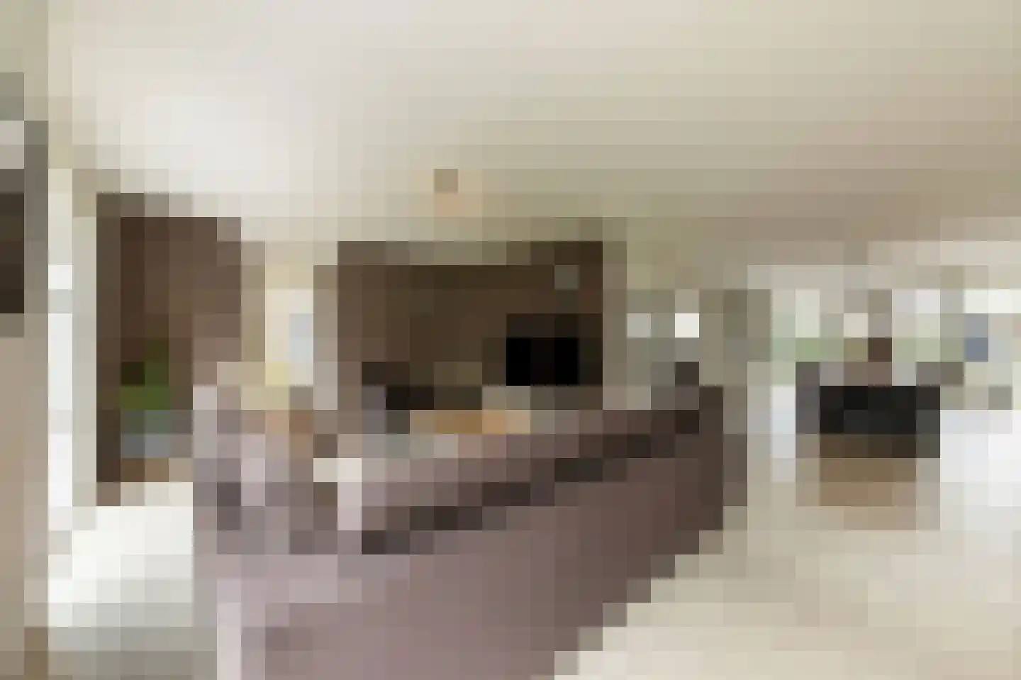 Dorsvlegel 22 Bergharen thumbnail 7