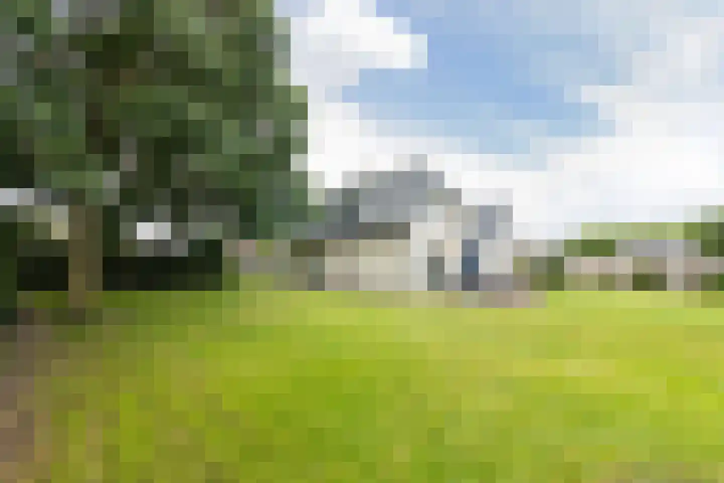Dorsvlegel 22 Bergharen thumbnail 70