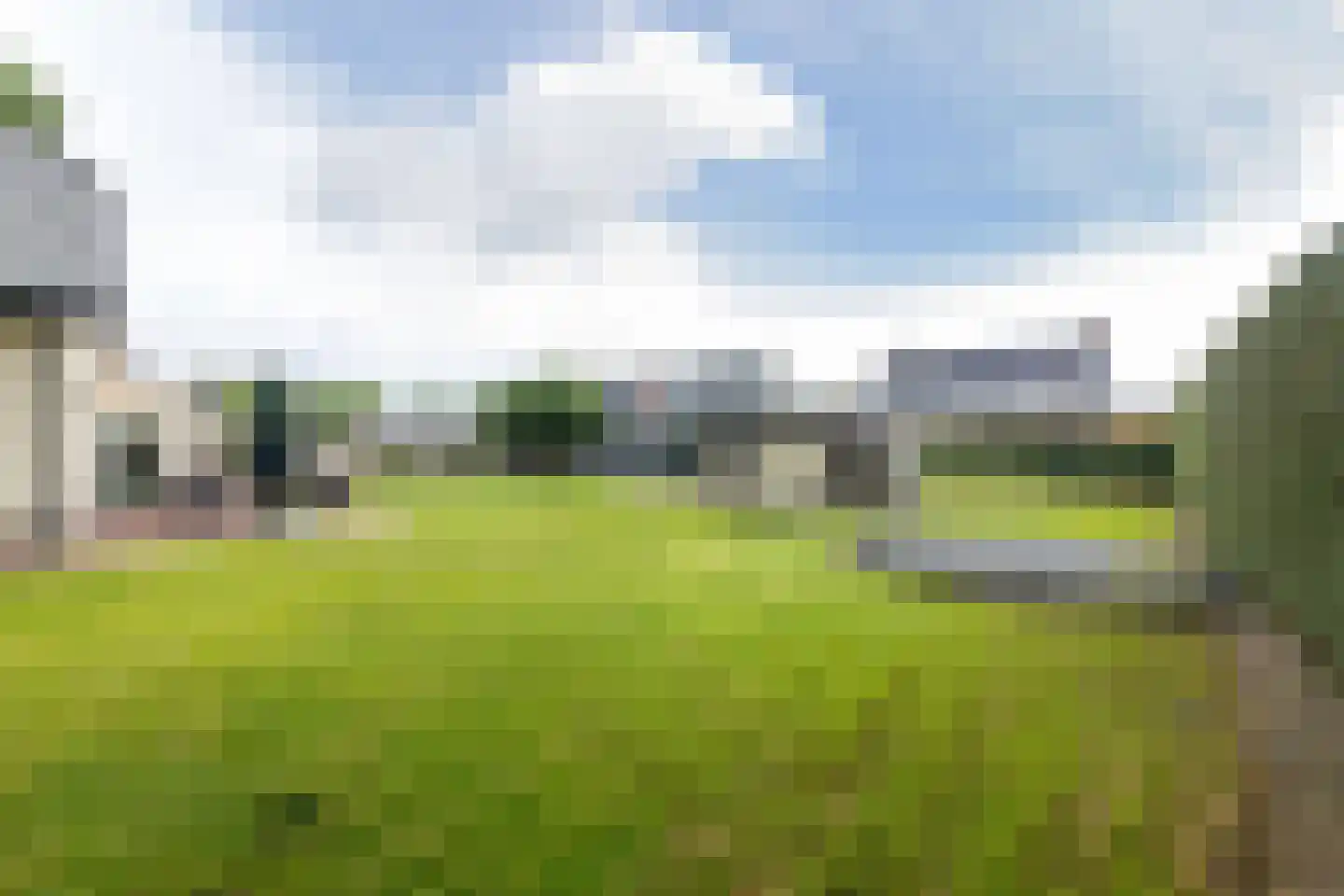 Dorsvlegel 22 Bergharen thumbnail 71