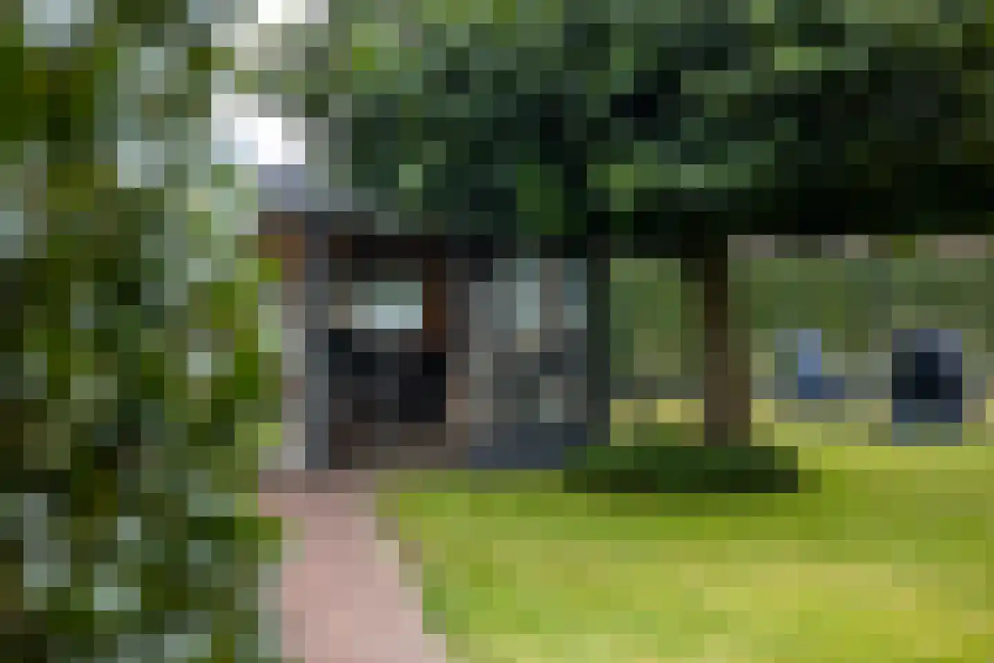 Dorsvlegel 22 Bergharen thumbnail 72