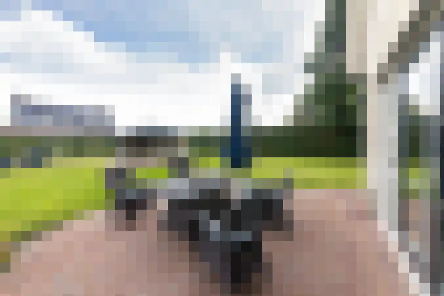 Dorsvlegel 22 Bergharen thumbnail 73
