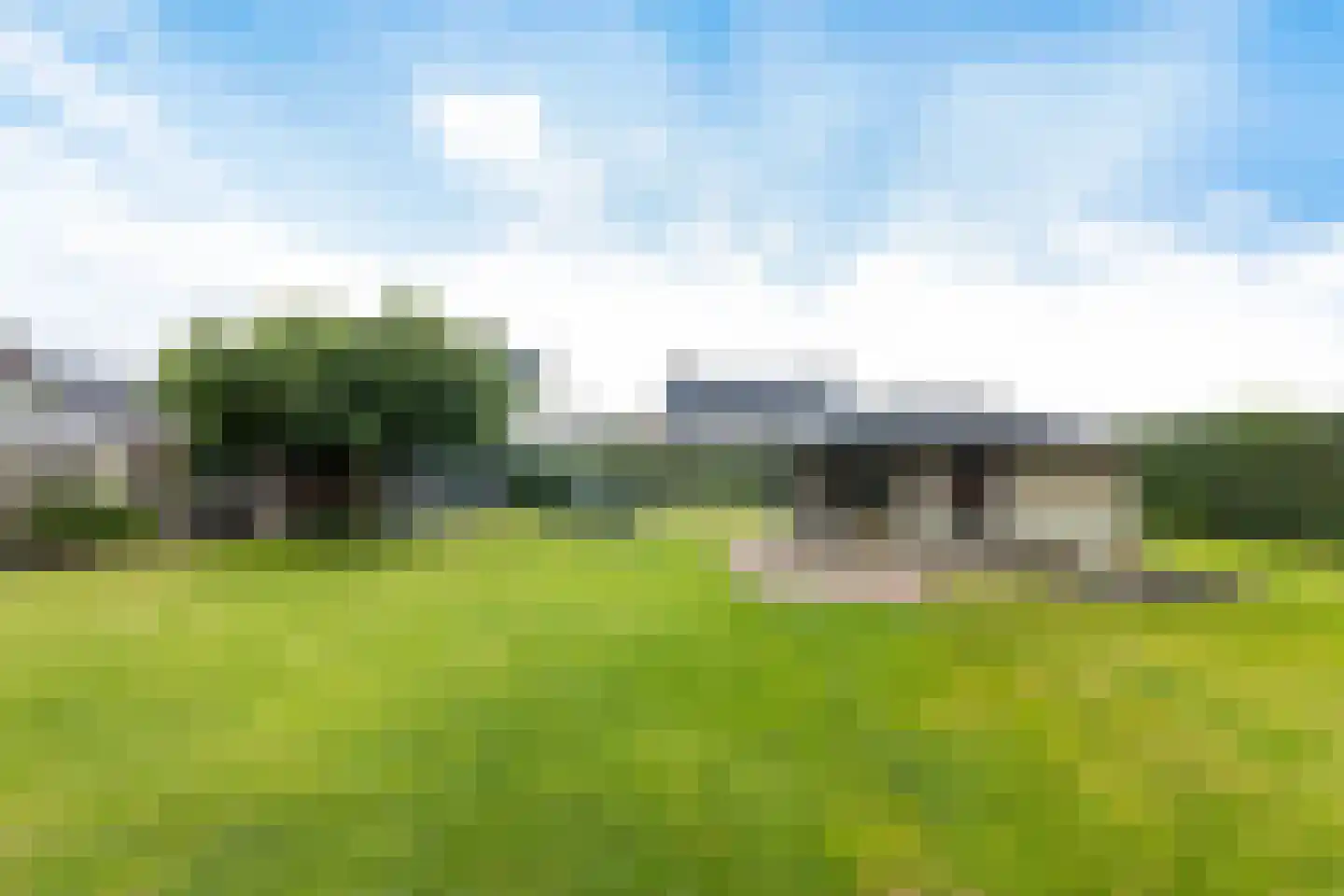 Dorsvlegel 22 Bergharen thumbnail 74