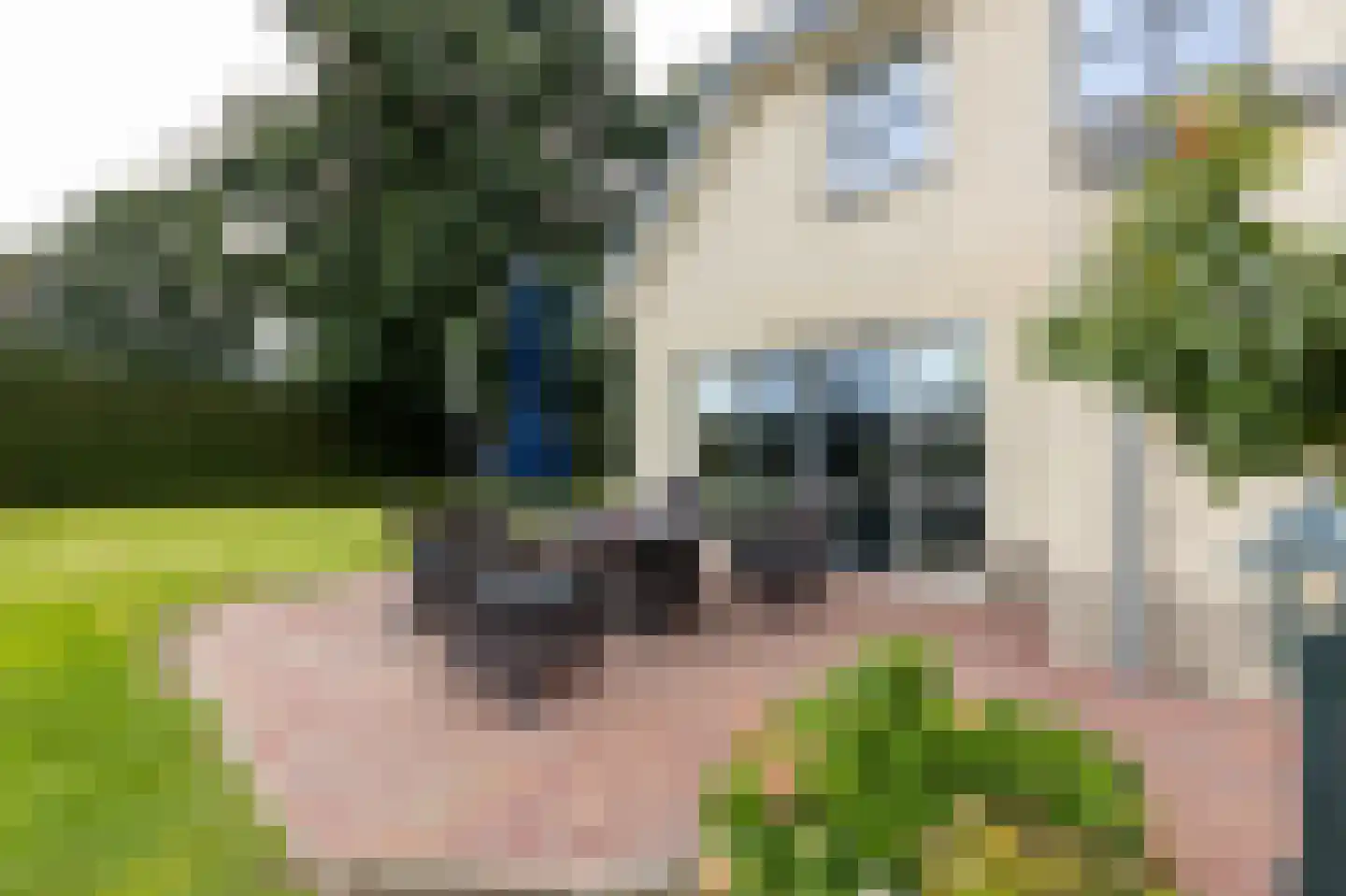 Dorsvlegel 22 Bergharen thumbnail 76