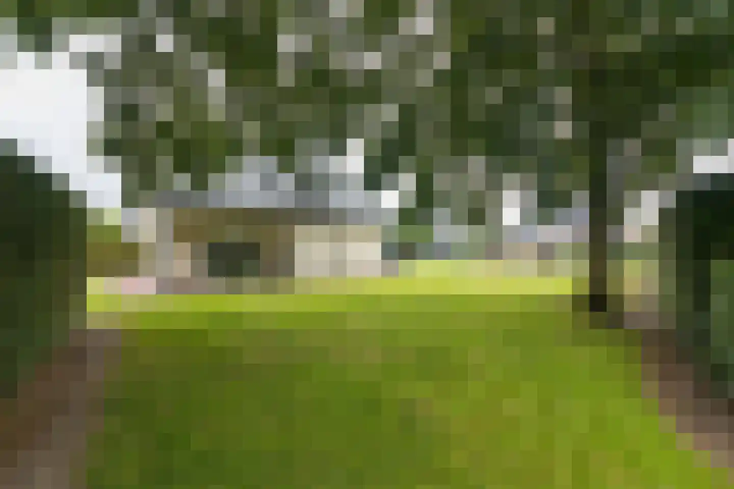Dorsvlegel 22 Bergharen thumbnail 77