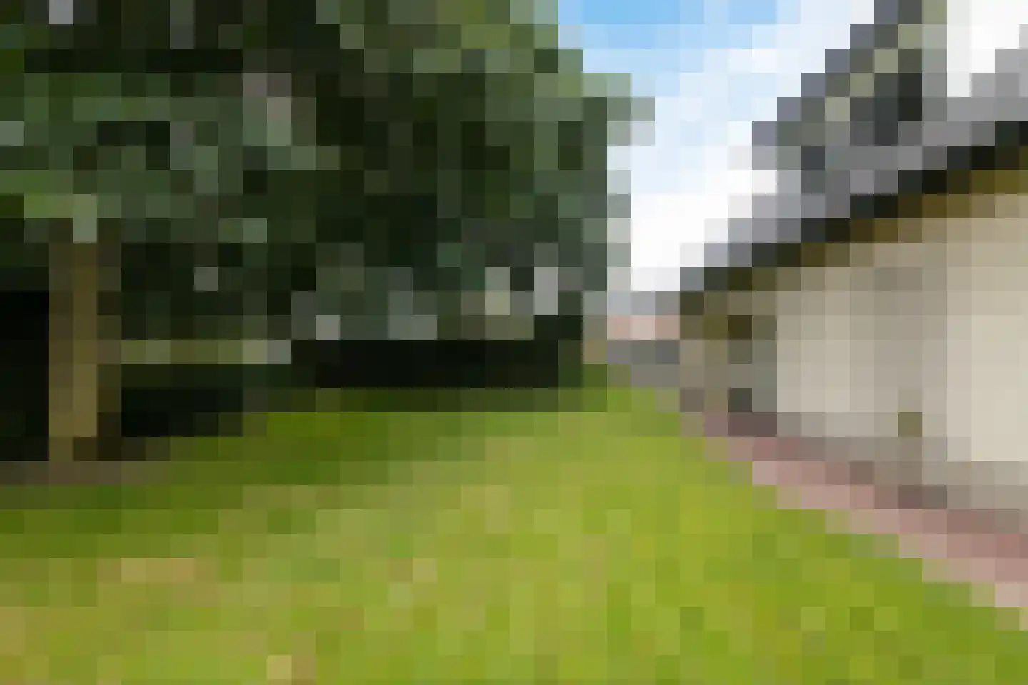 Dorsvlegel 22 Bergharen thumbnail 78
