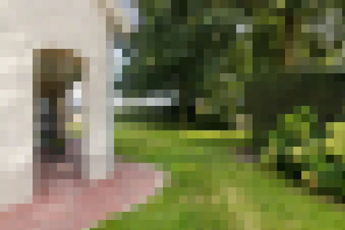 Dorsvlegel 22 Bergharen thumbnail 79
