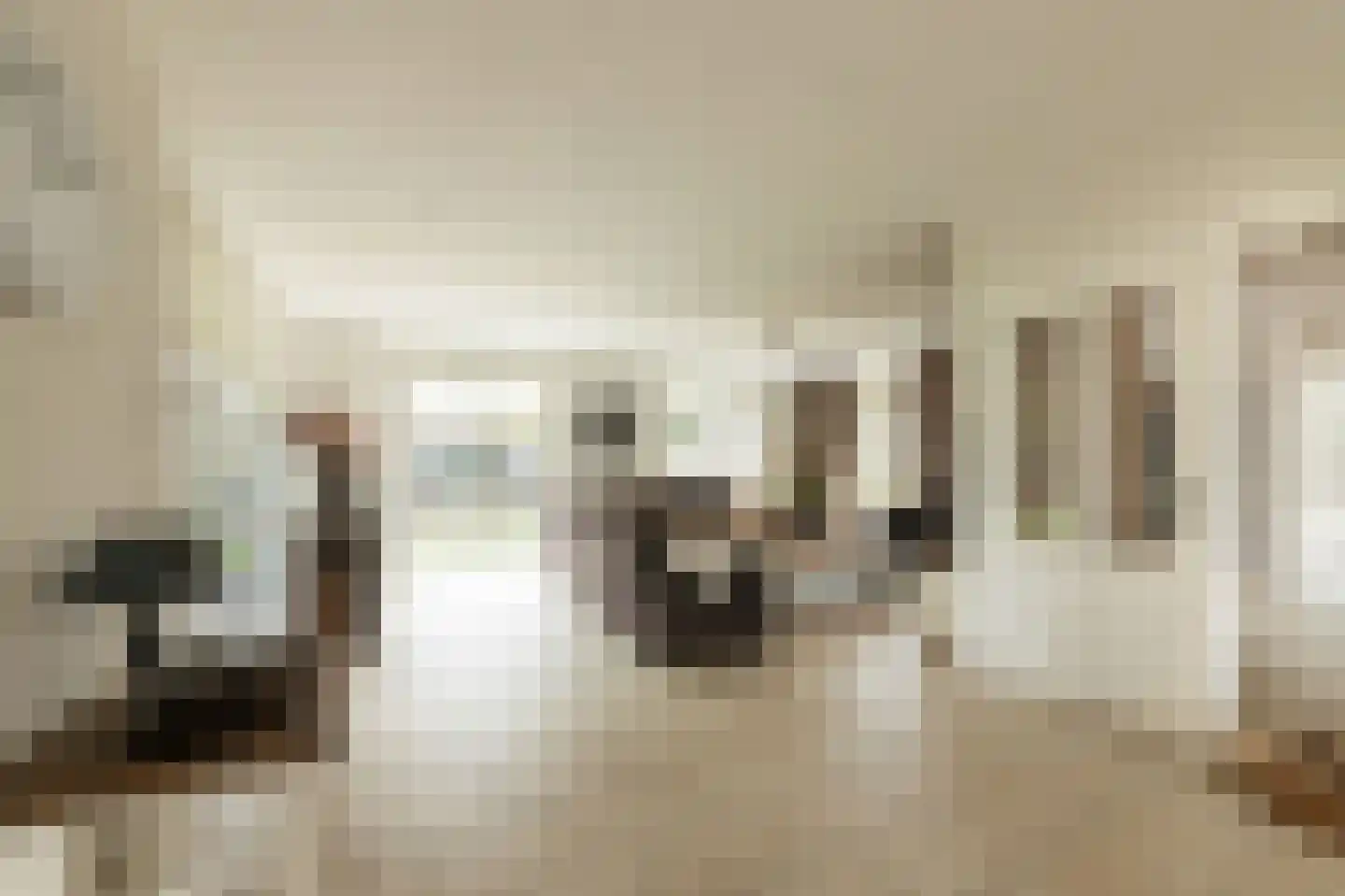 Dorsvlegel 22 Bergharen thumbnail 8